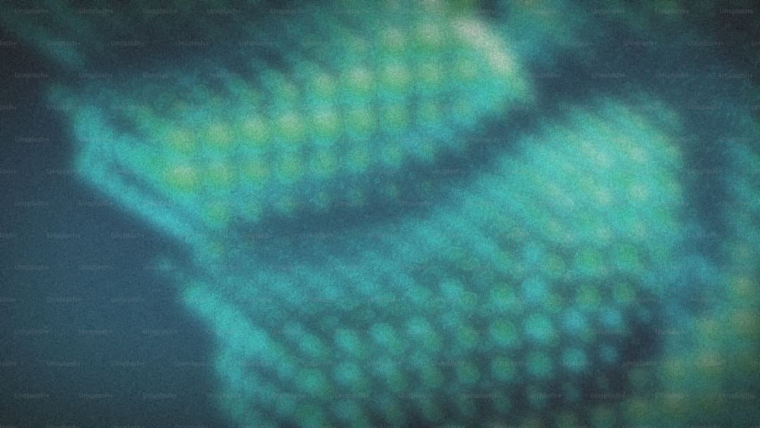 外交部领事司提示中国学生学者留意赴美安全危险